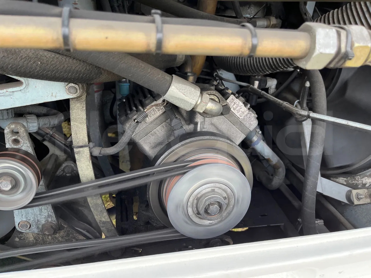 Leasing of  Man A21 Man A21: picture 17