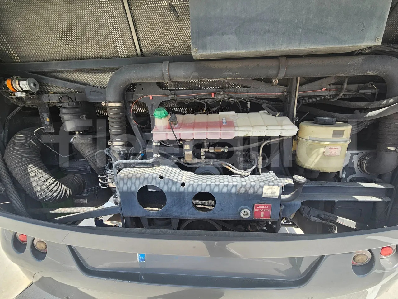 Suburban bus Man Castrosua: picture 19