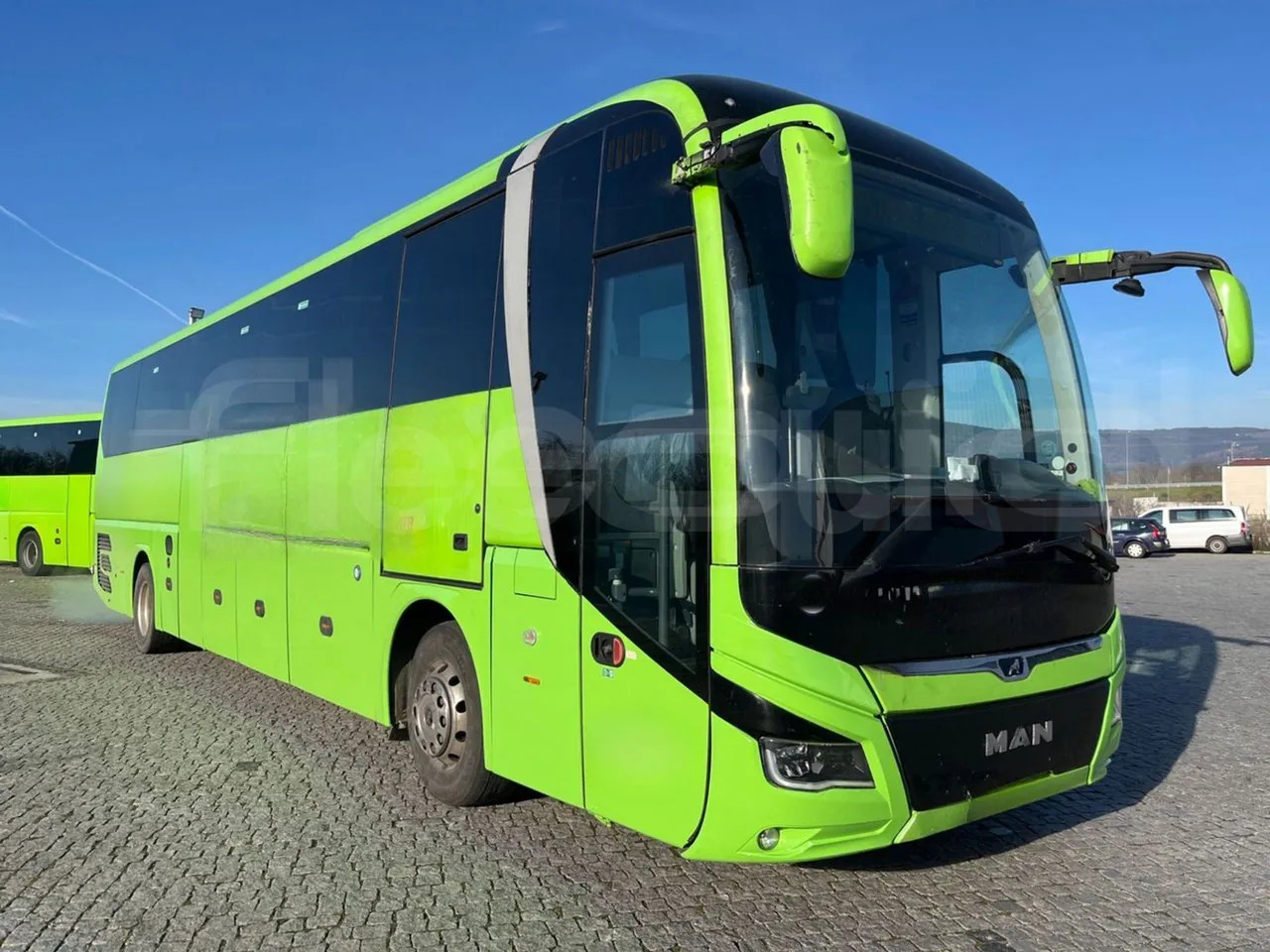 Man Lion's Coach - Coach: picture 1 Man Lion's Coach - Coach: picture 1