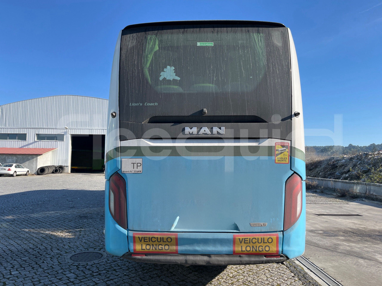 Man Lion's Coach - Coach: picture 5 Man Lion's Coach - Coach: picture 5