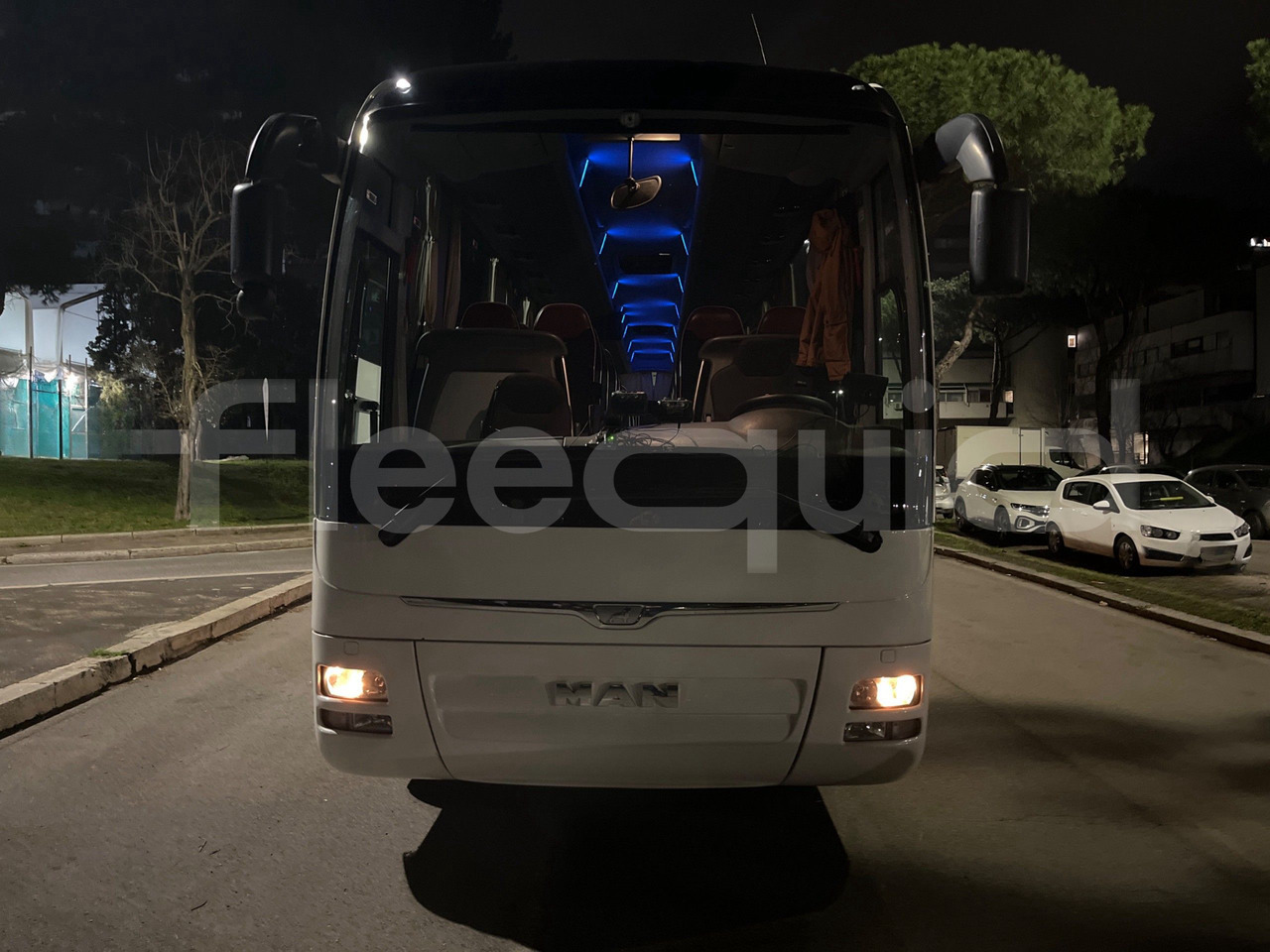 Man Lion's Coach - Coach: picture 2 Man Lion's Coach - Coach: picture 2