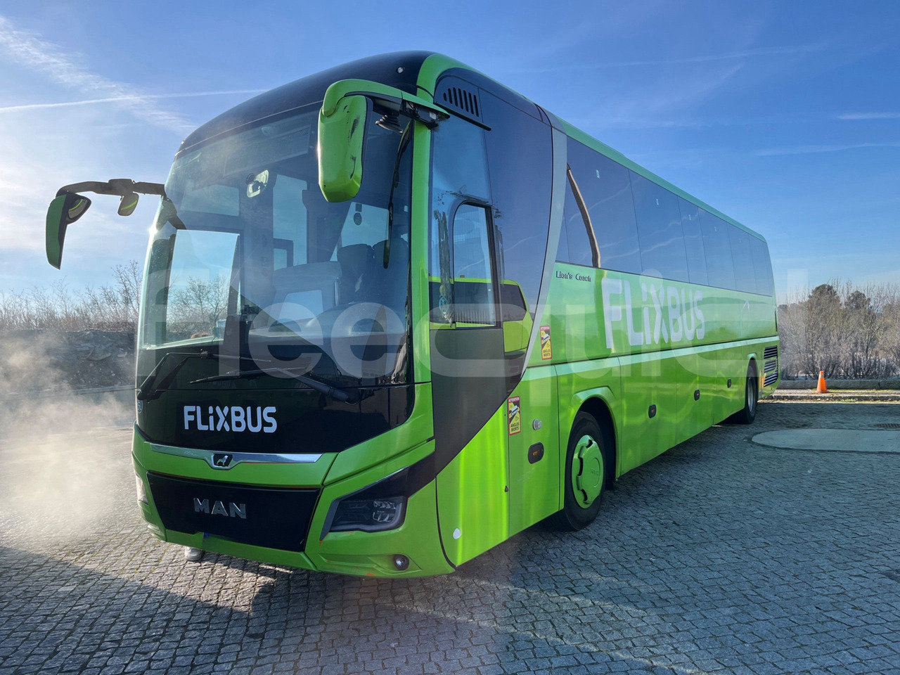 Man Lion's Coach - Coach: picture 4 Man Lion's Coach - Coach: picture 4