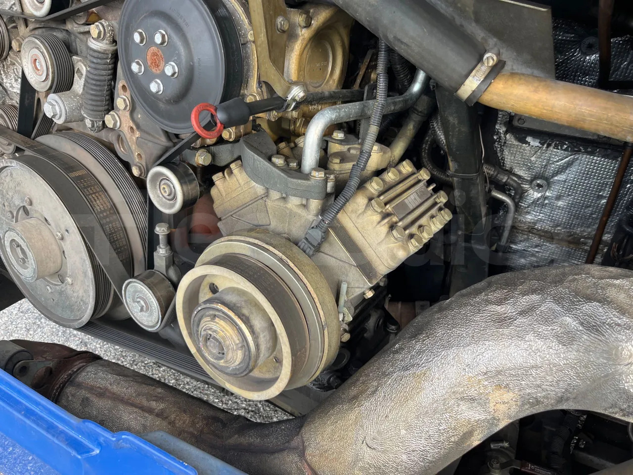 Articulated bus Mercedes-Benz Conecto: picture 20