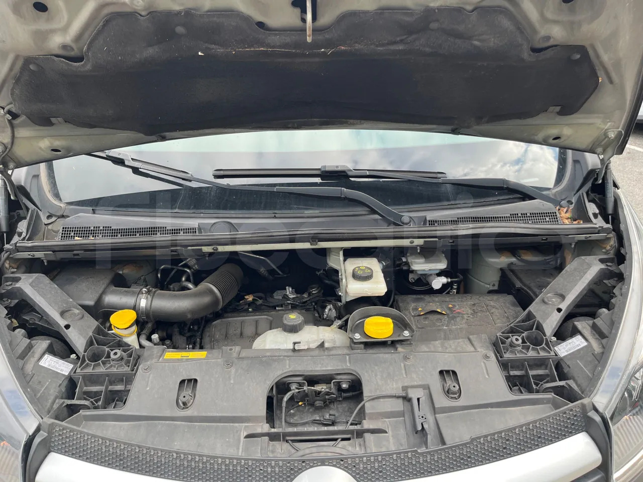 Suburban bus Opel Vivaro - B: picture 17 Suburban bus Opel Vivaro - B: picture 17