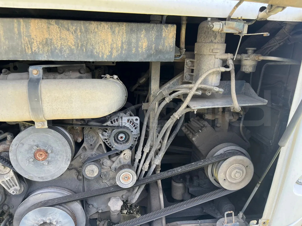 Suburban bus Temsa Safari: picture 12 Suburban bus Temsa Safari: picture 12