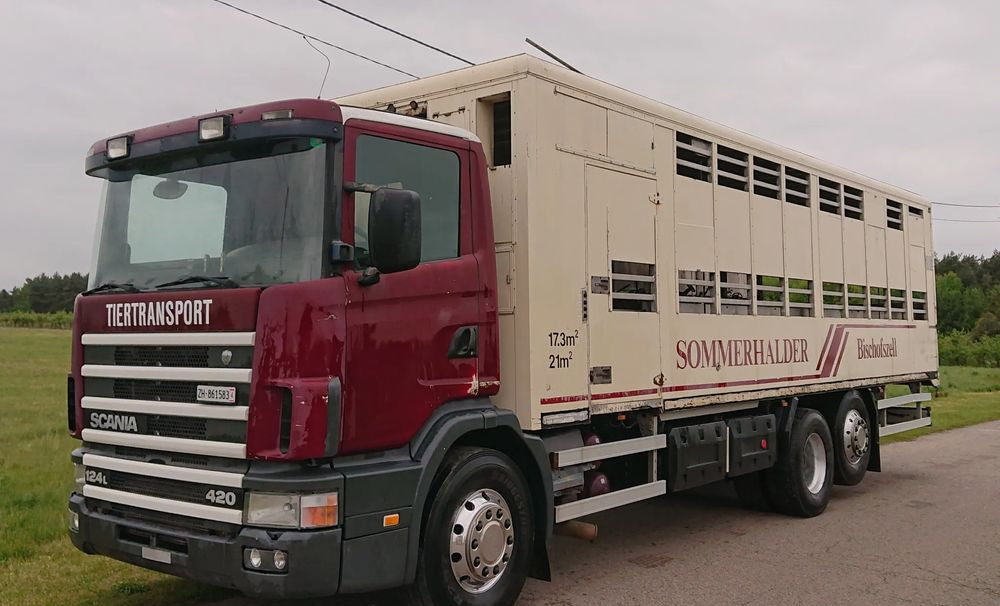 Scania 124 420 Do żywca - Livestock truck: picture 1 Scania 124 420 Do żywca - Livestock truck: picture 1