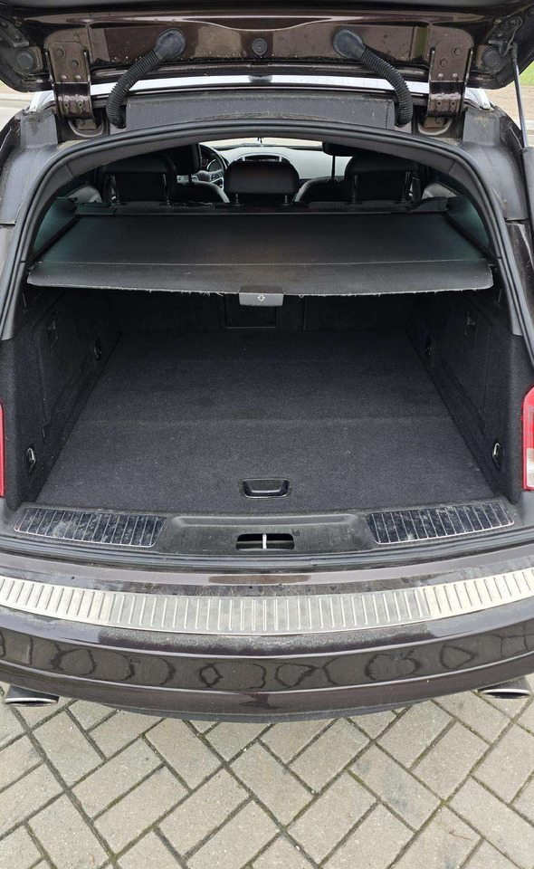 Station wagon Opel Insignia: picture 15 Station wagon Opel Insignia: picture 15