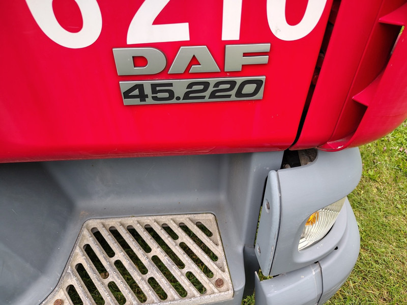Dropside/ Flatbed truck DAF LF45-220: picture 11