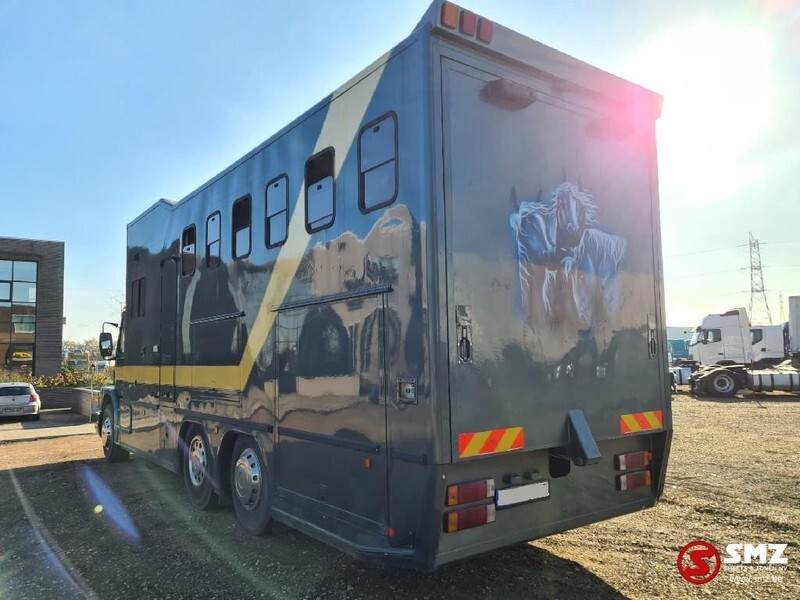 Scania 113 paarden/mobilhome - Horse truck: picture 3 Scania 113 paarden/mobilhome - Horse truck: picture 3