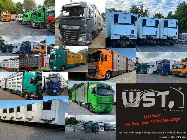 Curtainsider semi-trailer Krone SDP27   Profiliner Edscher  XL , SAF Scheibenbre: picture 17