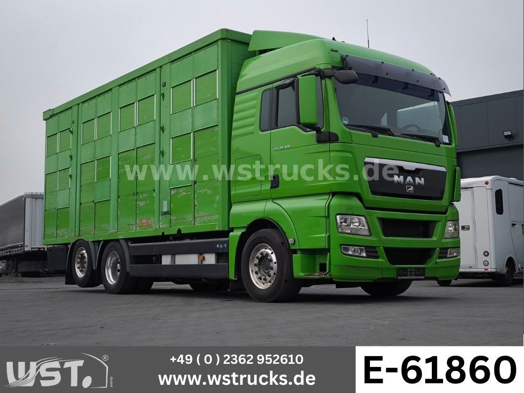 MAN TGX 26.480 XL KABA 3 Stock Viehtransporter - Horse truck: picture 1 MAN TGX 26.480 XL KABA 3 Stock Viehtransporter - Horse truck: picture 1