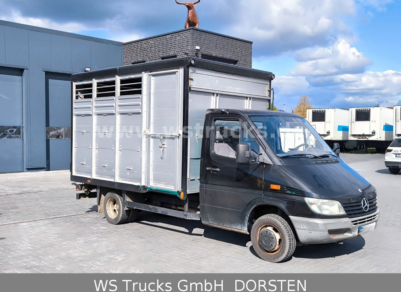 Mercedes-Benz Sprinter 411 CDI Viehtransporter - Livestock truck: picture 2 Mercedes-Benz Sprinter 411 CDI Viehtransporter - Livestock truck: picture 2
