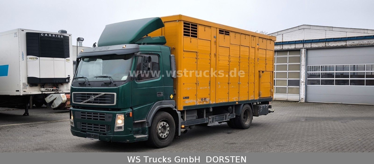 Volvo FM 260 mit KABA 2 Stock Vollalu - Horse truck: picture 2 Volvo FM 260 mit KABA 2 Stock Vollalu - Horse truck: picture 2