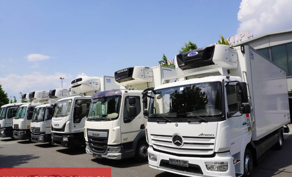Refrigerator truck RENAULT D19 285 HP E6 Cold storage/ ATP/FNA / 22 Pallets / BITEMPERATURE: picture 24