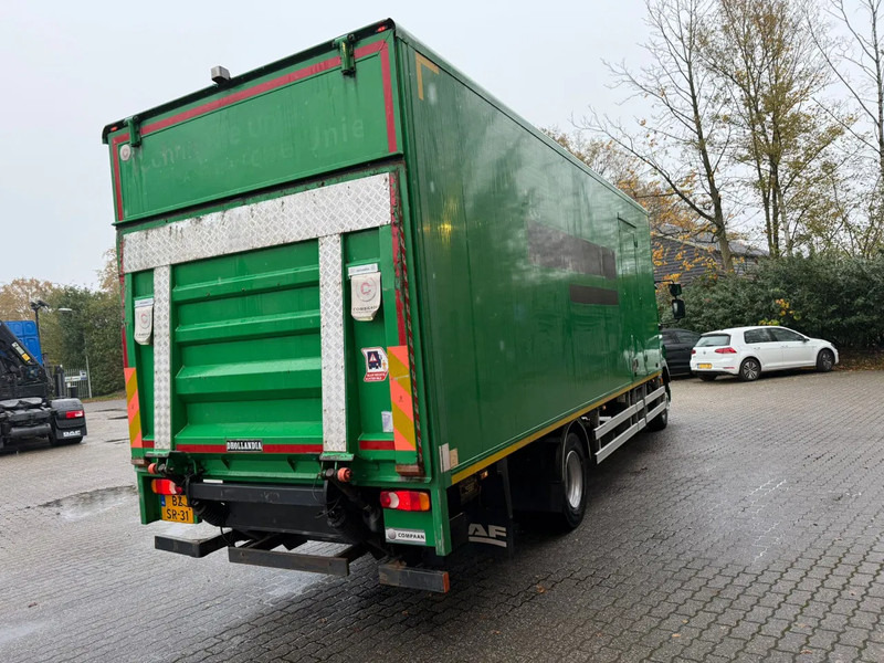 DAF LF 55.180 7.3M Koffer 1500KG LBW Zijdeur NL Truck - Box truck: picture 4 DAF LF 55.180 7.3M Koffer 1500KG LBW Zijdeur NL Truck - Box truck: picture 4