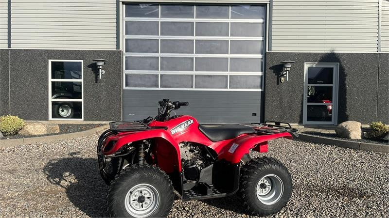 Yamaha Big bear 250 - Side-by-side/ ATV: picture 1 Yamaha Big bear 250 - Side-by-side/ ATV: picture 1