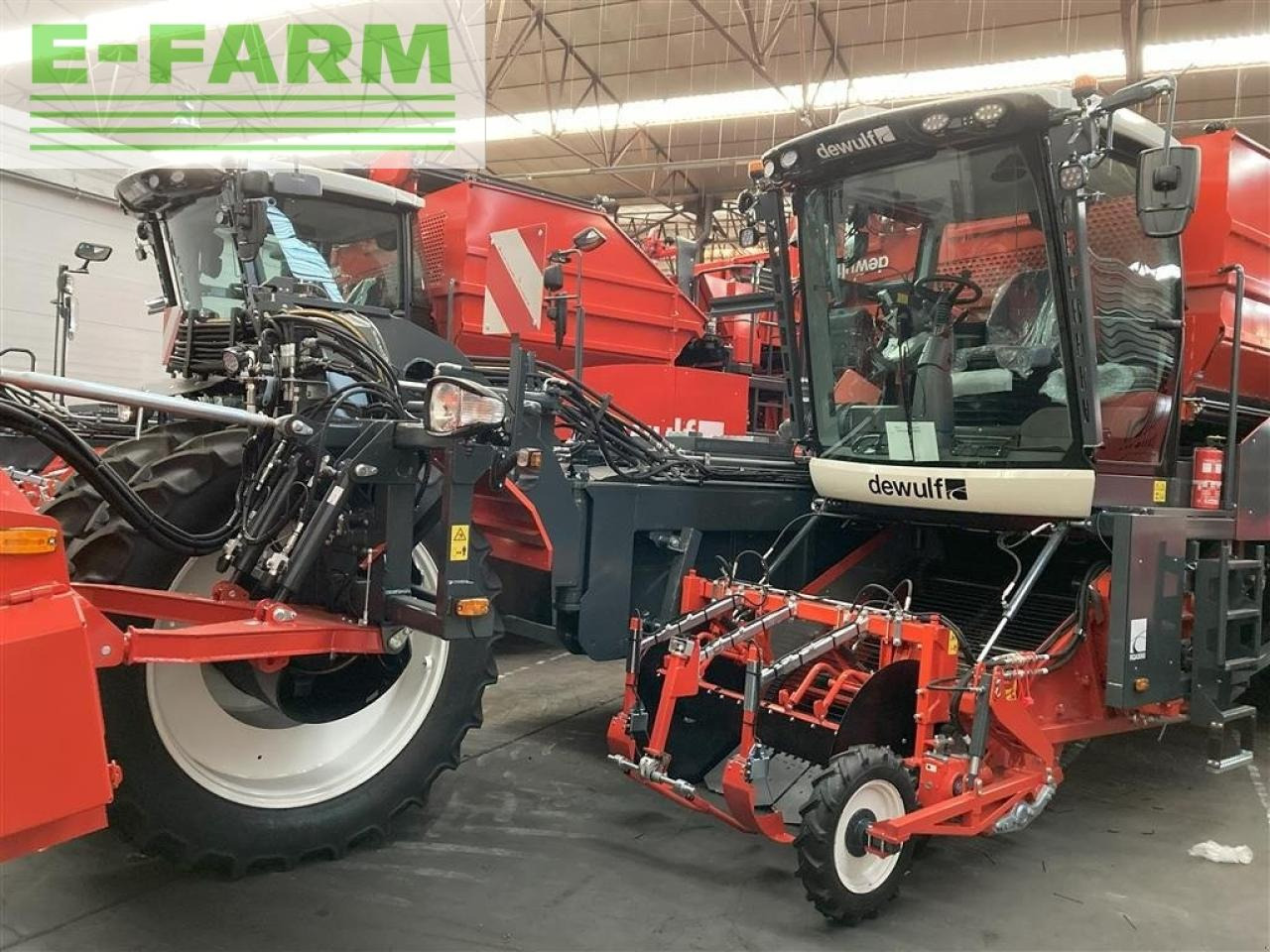 Dewulf rqa3060 - topkæde - Potato harvester: picture 2 Dewulf rqa3060 - topkæde - Potato harvester: picture 2