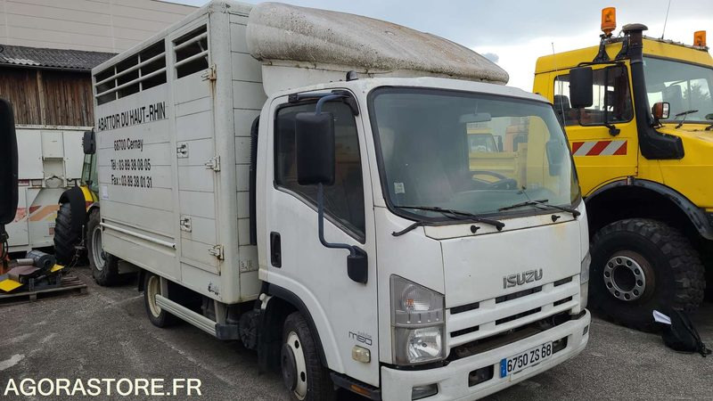 Bétaillère abattoir ISUZU - 2008 - Livestock truck: picture 2 Bétaillère abattoir ISUZU - 2008 - Livestock truck: picture 2