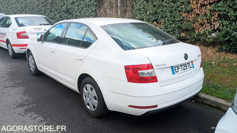 EP-729-TL - Non Roulant - SKODA OCTAVIA - VP - 349 390 Kms - Car: picture 3 EP-729-TL - Non Roulant - SKODA OCTAVIA - VP - 349 390 Kms - Car: picture 3