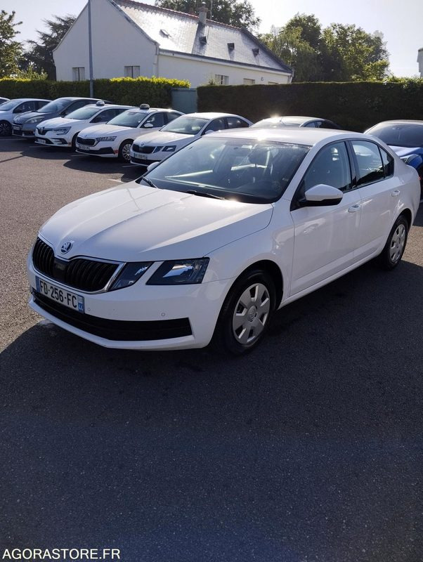FD-256-FC - Roulant - SKODA OCTAVIA - VP - 417 000 Kms - Car: picture 2 FD-256-FC - Roulant - SKODA OCTAVIA - VP - 417 000 Kms - Car: picture 2