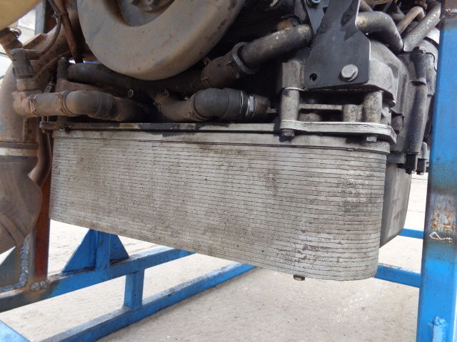 MAN (WORLDWIDE DELIVERY) - Radiator for Truck: picture 1 MAN (WORLDWIDE DELIVERY) - Radiator for Truck: picture 1