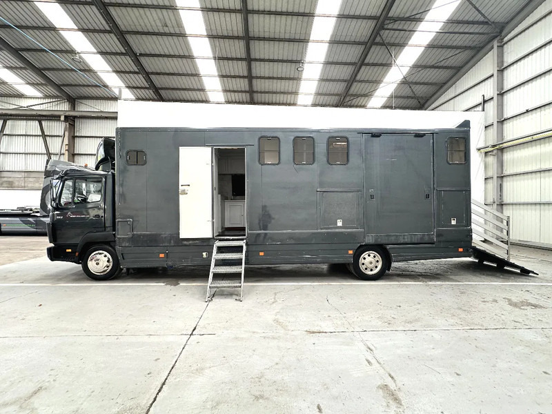 Mercedes-Benz 1117 MOBILE HOME / TRANSPORT DE CHEVAUX /HORSE TRUCK - Livestock truck: picture 2 Mercedes-Benz 1117 MOBILE HOME / TRANSPORT DE CHEVAUX /HORSE TRUCK - Livestock truck: picture 2
