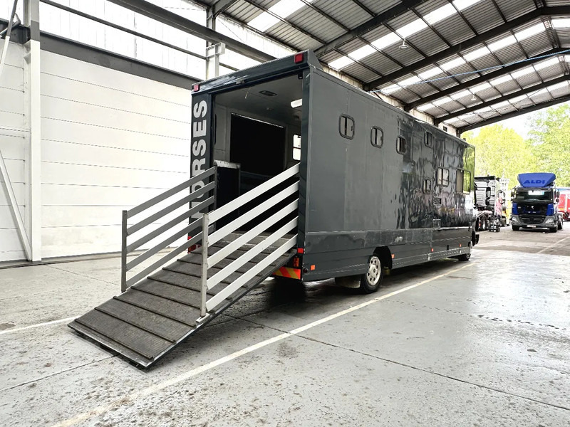 Mercedes-Benz 1117 MOBILE HOME / TRANSPORT DE CHEVAUX /HORSE TRUCK - Livestock truck: picture 5 Mercedes-Benz 1117 MOBILE HOME / TRANSPORT DE CHEVAUX /HORSE TRUCK - Livestock truck: picture 5