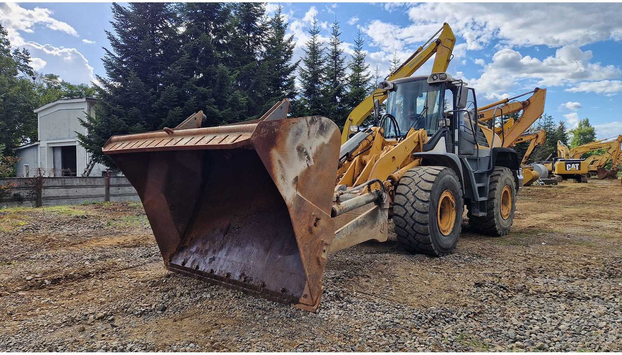 Liebherr L550 - Wheel loader: picture 1 Liebherr L550 - Wheel loader: picture 1
