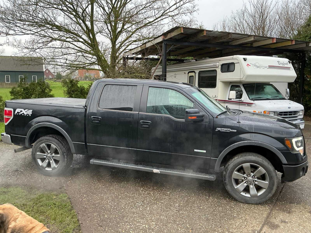 2013 FORD F150 FD4 OFF ROAD PICKUP UP - Van: picture 5 2013 FORD F150 FD4 OFF ROAD PICKUP UP - Van: picture 5