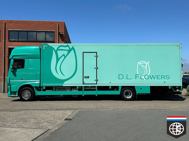 DAF XF 410 FA - Refrigerator truck: picture 3 DAF XF 410 FA - Refrigerator truck: picture 3