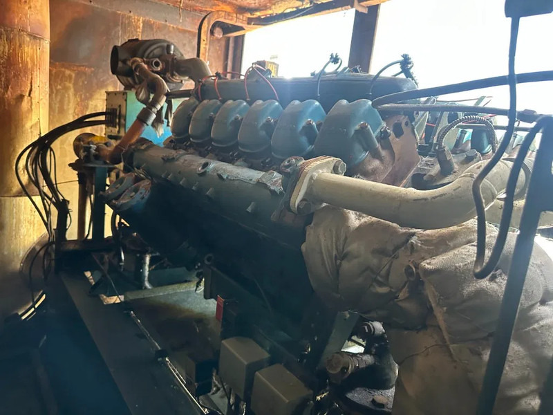 Generator set MAN Stamford 275 kVA Silent Gas generatorset in container: picture 18