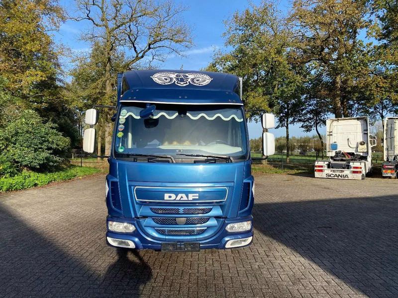 Livestock truck DAF LF 280: picture 6