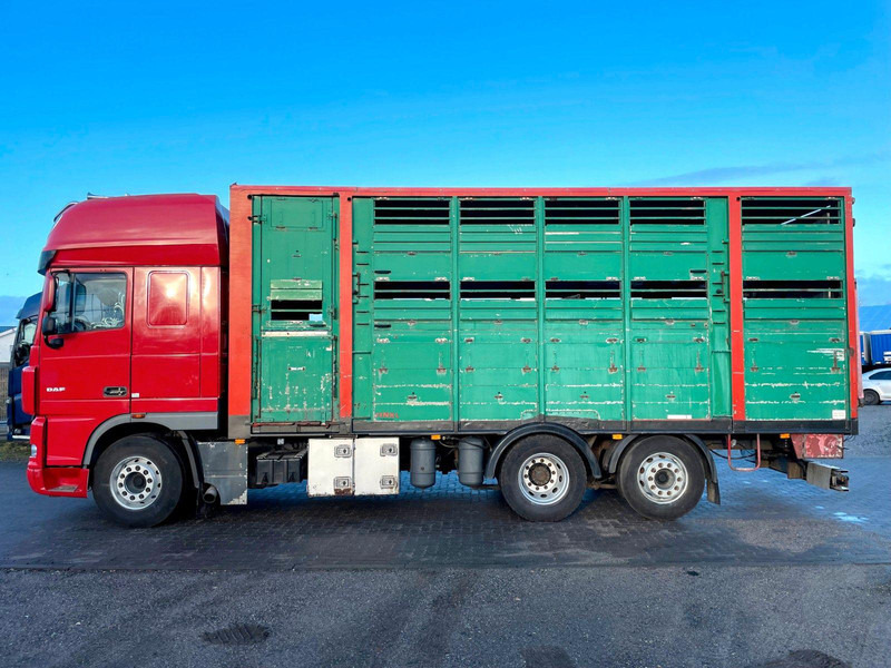 DAF XF 105.460 2-Stock Finkl Viehaufbau / Lenkachs - Livestock truck: picture 5 DAF XF 105.460 2-Stock Finkl Viehaufbau / Lenkachs - Livestock truck: picture 5