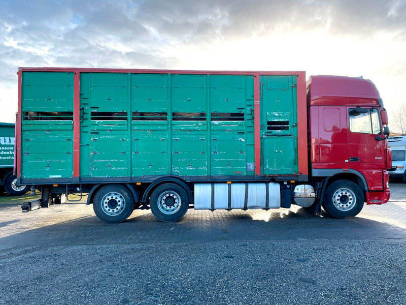 DAF XF 105.460 2-Stock Finkl Viehaufbau / Lenkachs - Livestock truck: picture 4 DAF XF 105.460 2-Stock Finkl Viehaufbau / Lenkachs - Livestock truck: picture 4