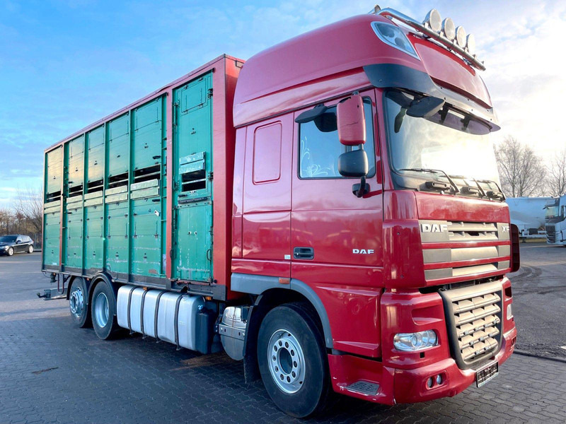 DAF XF 105.460 2-Stock Finkl Viehaufbau / Lenkachs - Livestock truck: picture 1 DAF XF 105.460 2-Stock Finkl Viehaufbau / Lenkachs - Livestock truck: picture 1