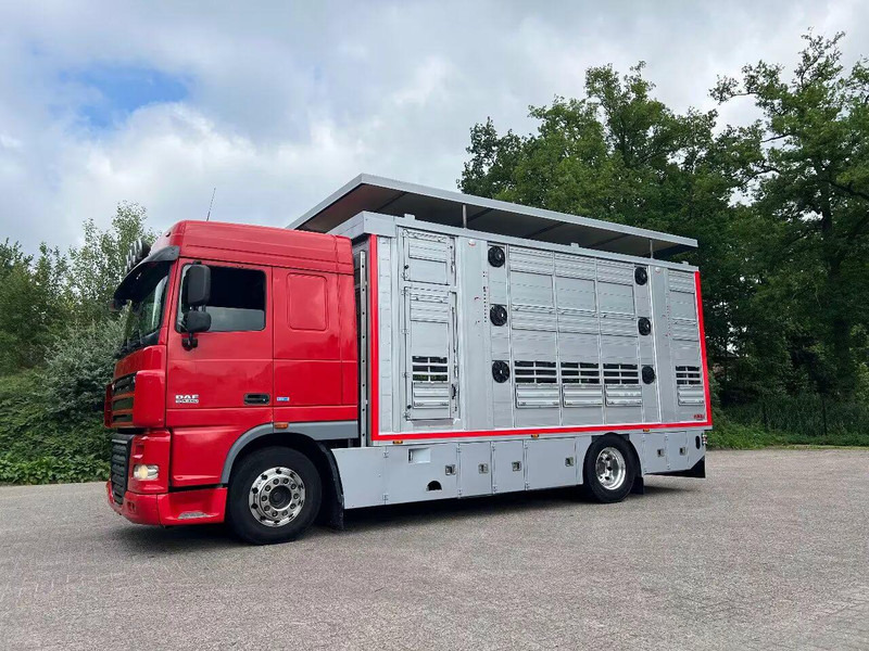 DAF XF 106.460 - Finkl Animal transporter - Livestock truck: picture 1 DAF XF 106.460 - Finkl Animal transporter - Livestock truck: picture 1