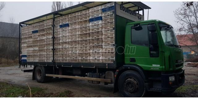 Iveco Eurocargo 180E28 - Livestock truck: picture 2 Iveco Eurocargo 180E28 - Livestock truck: picture 2