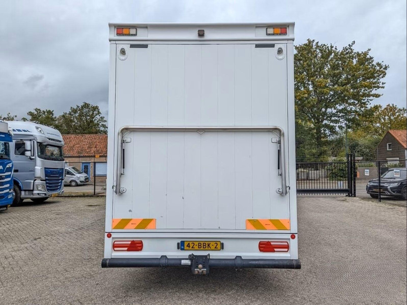 MAN TGL 12.250 - Horse transporter - Horse truck: picture 4 MAN TGL 12.250 - Horse transporter - Horse truck: picture 4