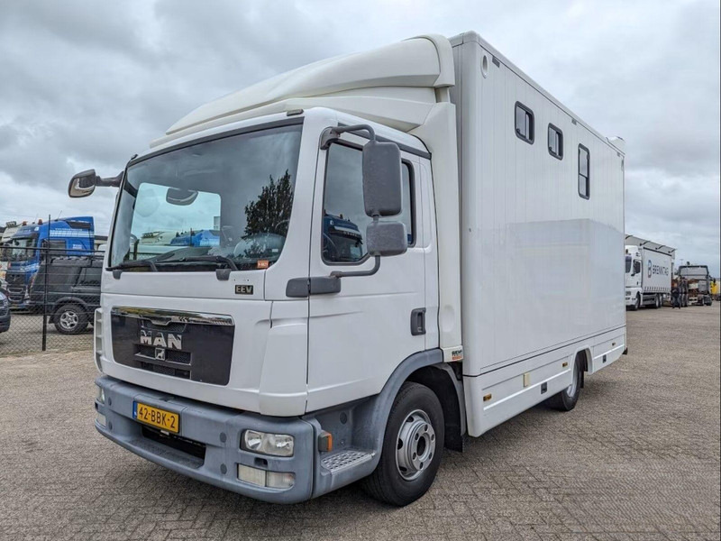 MAN TGL 12.250 - Horse transporter - Horse truck: picture 1 MAN TGL 12.250 - Horse transporter - Horse truck: picture 1