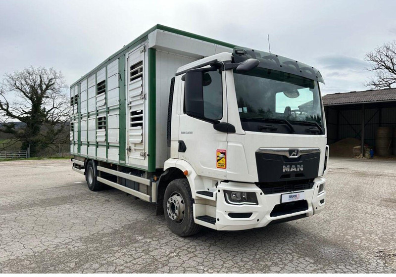 MAN TGM 15.290 Livestock Double Deck - Livestock truck: picture 3 MAN TGM 15.290 Livestock Double Deck - Livestock truck: picture 3