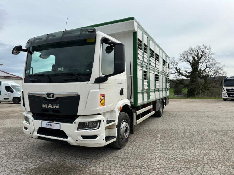 MAN TGM 15.290 Livestock Double Deck - Livestock truck: picture 4 MAN TGM 15.290 Livestock Double Deck - Livestock truck: picture 4