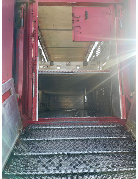 Livestock truck MAN TGX 26.400 6x2-2 LL 3 Stück Finkl Hubdach: picture 10 Livestock truck MAN TGX 26.400 6x2-2 LL 3 Stück Finkl Hubdach: picture 10