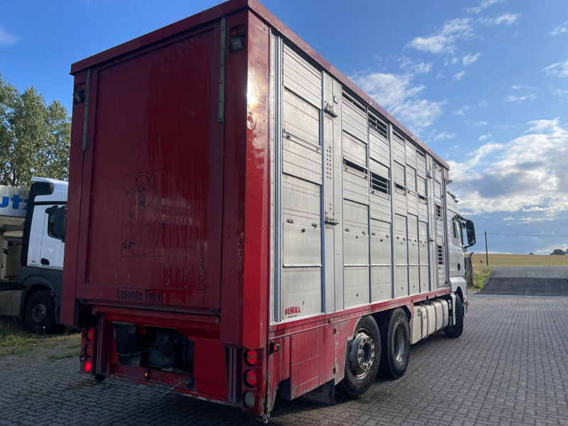 Livestock truck MAN TGX 26.400 6x2-2 LL 3 Stück Finkl Hubdach: picture 7 Livestock truck MAN TGX 26.400 6x2-2 LL 3 Stück Finkl Hubdach: picture 7