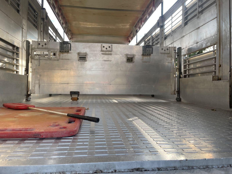 Livestock truck MAN TGX 26.400 6x2-2 LL 3 Stück Finkl Hubdach: picture 13 Livestock truck MAN TGX 26.400 6x2-2 LL 3 Stück Finkl Hubdach: picture 13