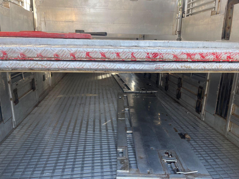 Livestock truck MAN TGX 26.400 6x2-2 LL 3 Stück Finkl Hubdach: picture 12 Livestock truck MAN TGX 26.400 6x2-2 LL 3 Stück Finkl Hubdach: picture 12