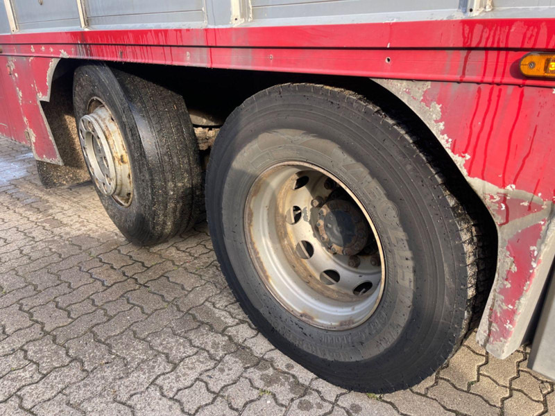 Livestock truck MAN TGX 26.400 6x2-2 LL 3 Stück Finkl Hubdach: picture 16 Livestock truck MAN TGX 26.400 6x2-2 LL 3 Stück Finkl Hubdach: picture 16