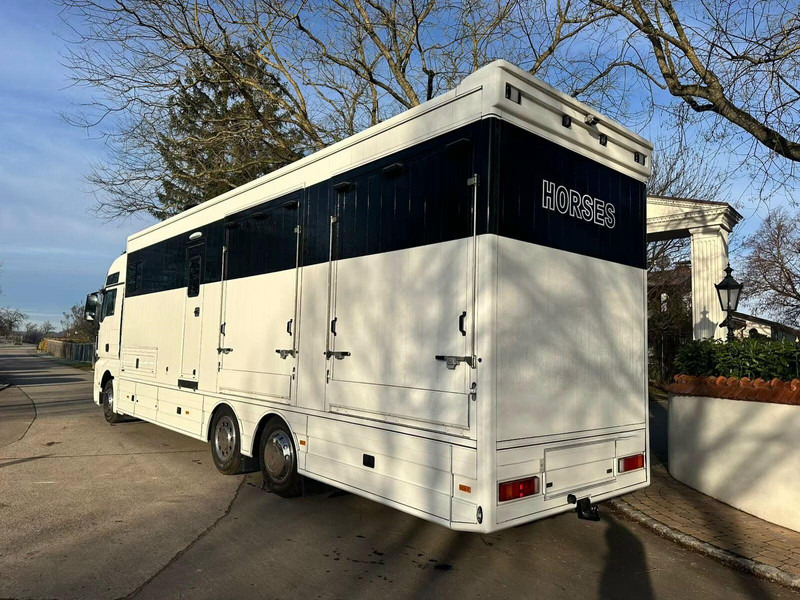 MAN TGX 26.440 - Horse transporter - Horse truck: picture 4 MAN TGX 26.440 - Horse transporter - Horse truck: picture 4