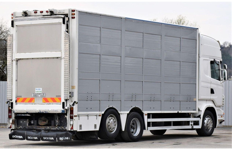 Scania R 500 - Livestock truck: picture 5 Scania R 500 - Livestock truck: picture 5