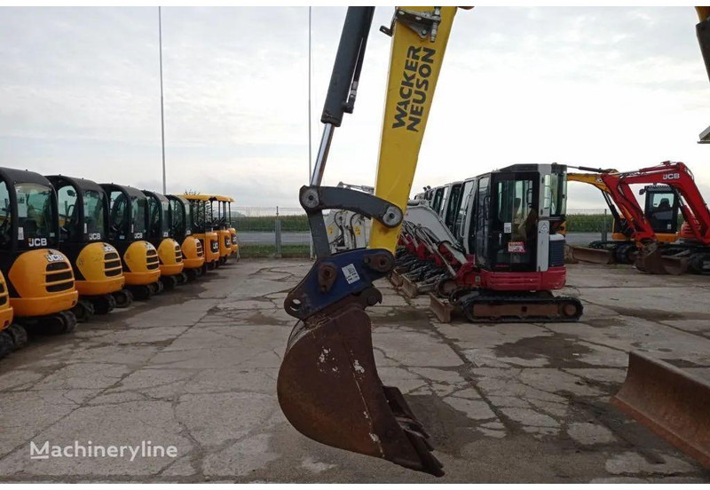 WACKER NEUSON 50Z3 Mini excavator - Mini excavator: picture 4 WACKER NEUSON 50Z3 Mini excavator - Mini excavator: picture 4
