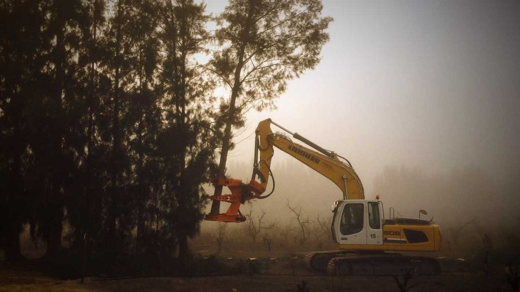 Westtech Woodcracker C550 Fällgreifer Baumschere Westtech Woodcracker C550 Fällgreifer Baumschere - Attachment for Forestry equipment: picture 2 Westtech Woodcracker C550 Fällgreifer Baumschere Westtech Woodcracker C550 Fällgreifer Baumschere - Attachment for Forestry equipment: picture 2